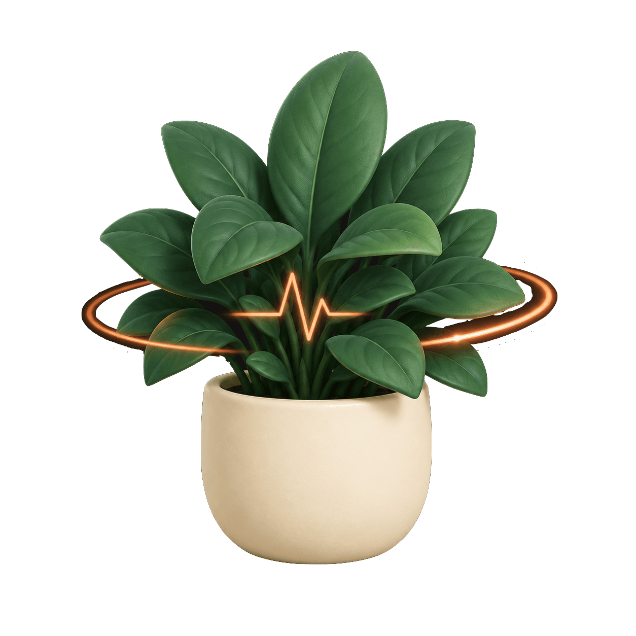 A plant being scanned by a gentle health-check ring
